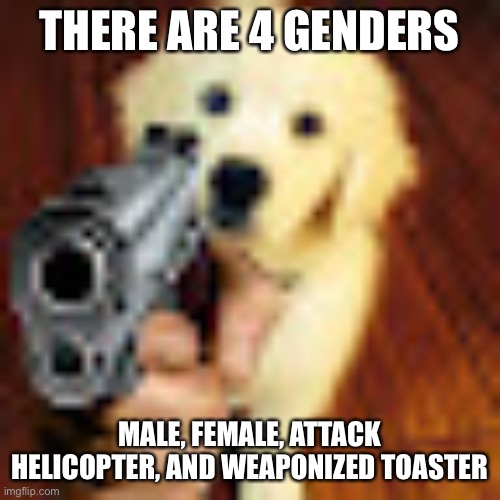 Dog gun Imgflip