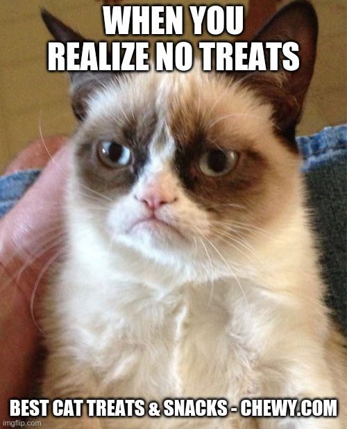 Grumpy Cat Meme Imgflip