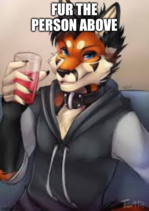 Image tagged in furry leonardo dicaprio Imgflip