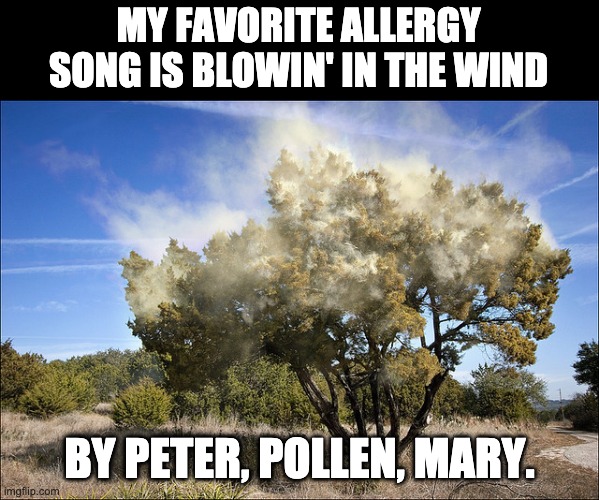 Pollen Imgflip