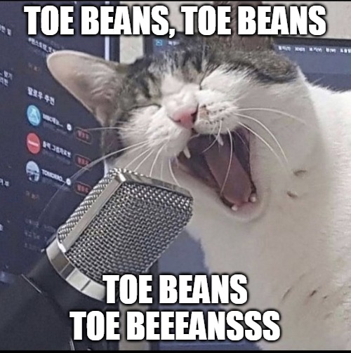 Cat Singing into Microphone Imgflip