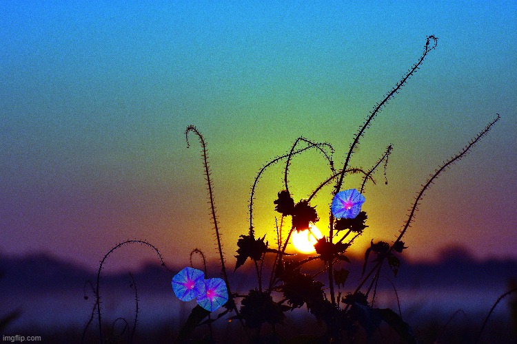 sunrise this morning Imgflip