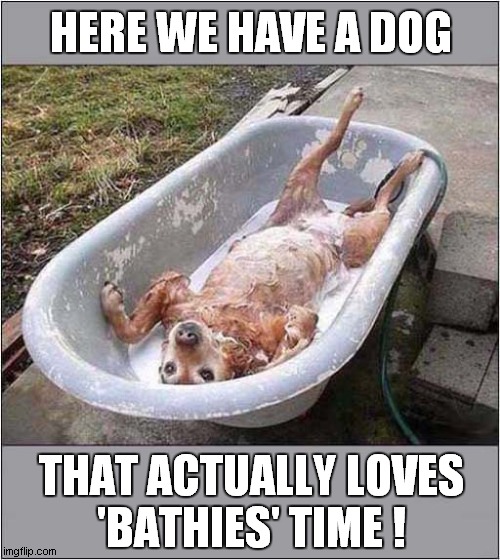 Soapy Suds ! Imgflip