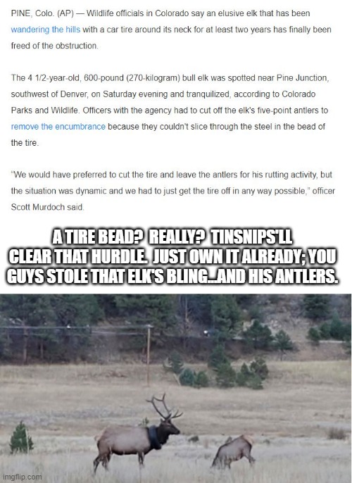 ELK GOT ROBBED Imgflip