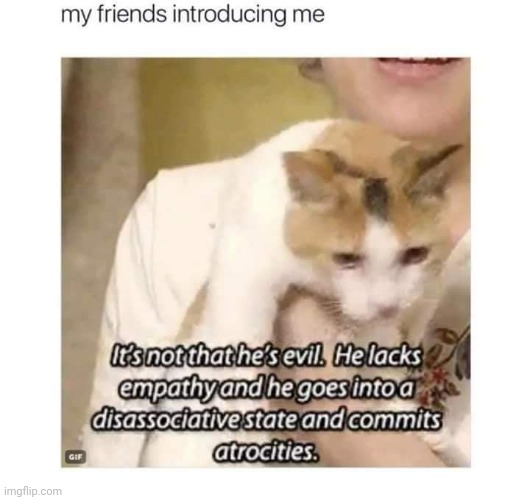 Image tagged in cats,antisocial Imgflip