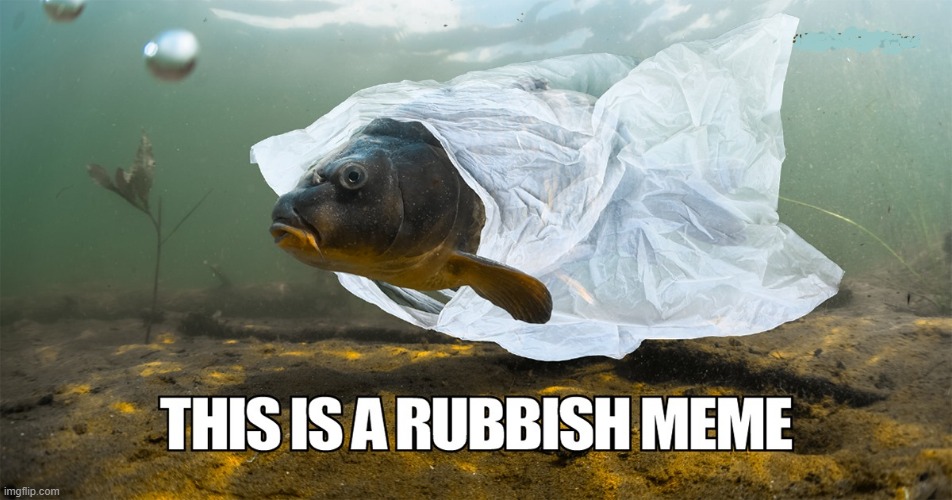 Rubbish Meme Imgflip