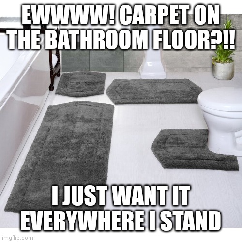 Bathroom Carpet? Imgflip
