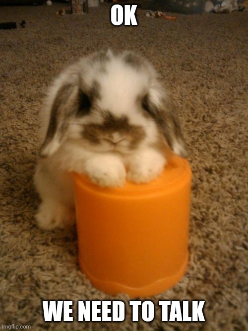 BUNNY HAS QUESTIONS Imgflip