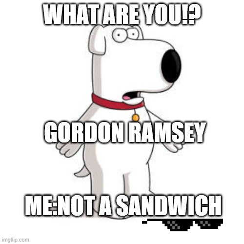 Family Guy Brian Meme Imgflip