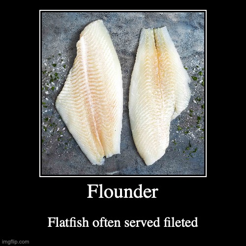 Flounder Imgflip