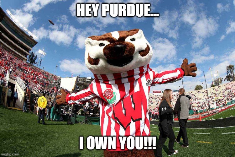 bucky badger Imgflip
