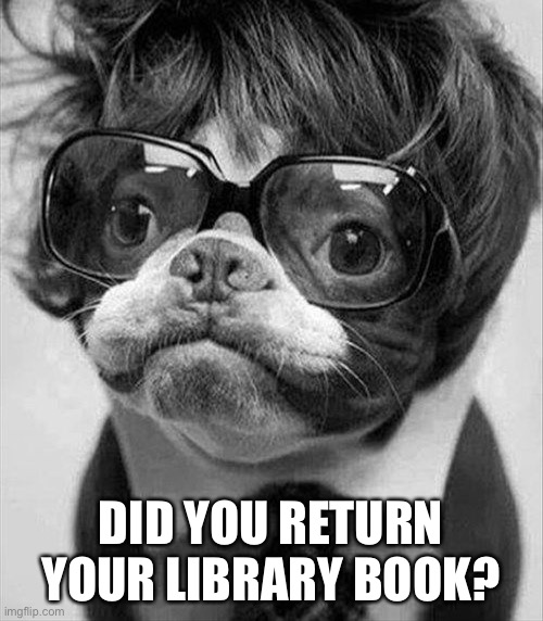 Image tagged in pug,karen,library,turd Imgflip