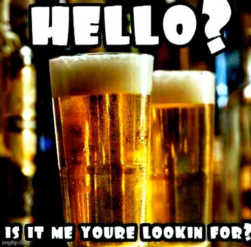 Image tagged in vince vance,beer,memes,hello is it me you're looking