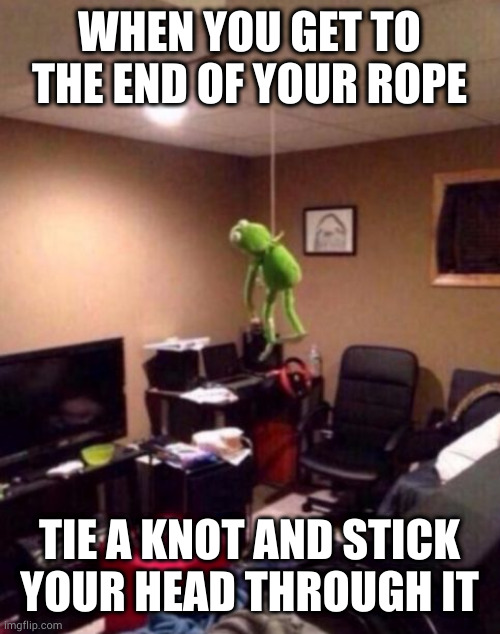 Kermit is well hung Imgflip