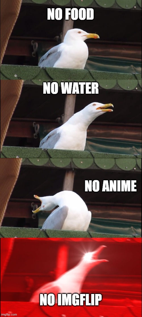 Upvote if you cant survive without this Imgflip
