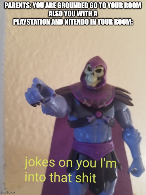 Image tagged in skeletor action figure jokes on you i'm into that Imgflip