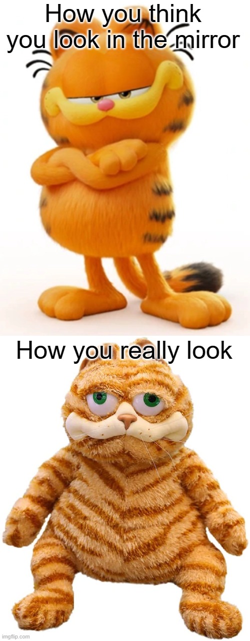 Garfield Imgflip