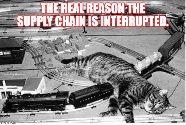 Cats supply chain Imgflip