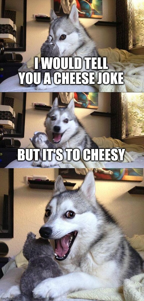 Bad jokes dog Imgflip