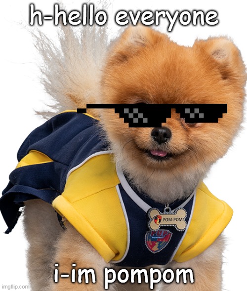 pompom Memes & GIFs Imgflip