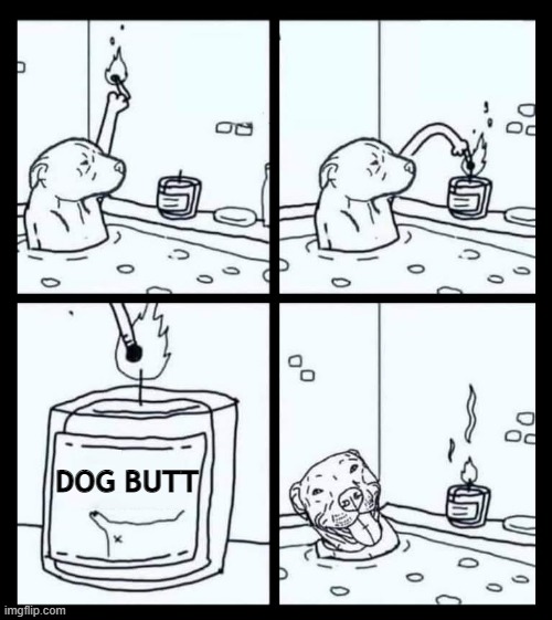 Image tagged in dogs,funny dogs,candles,bad smell,pets,stinks Imgflip