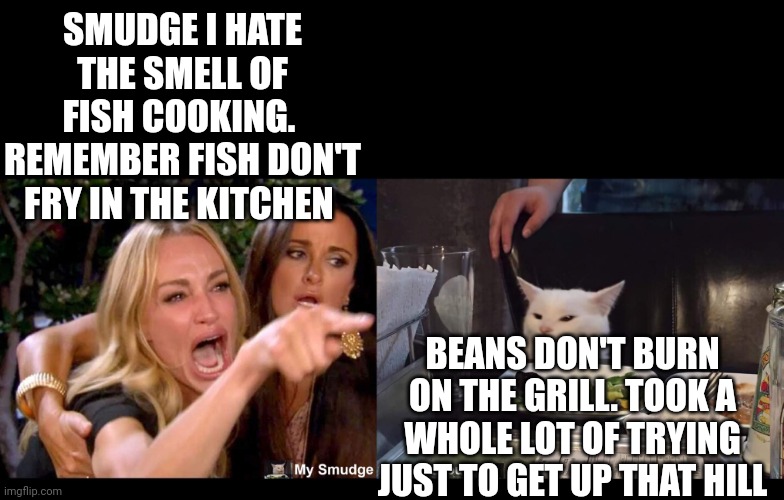 Image tagged in smudge the cat Imgflip