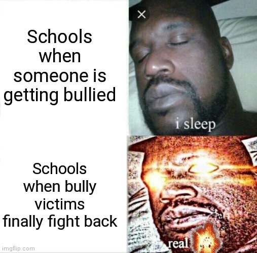Schools with bullies be like Imgflip