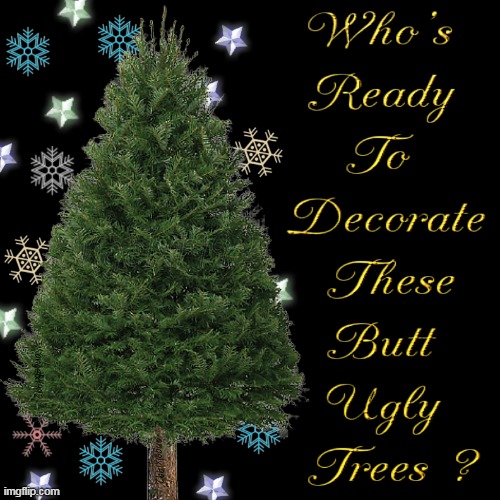 Image tagged in pagan holiday,christmas,christmas tree,pagan,pagan tree