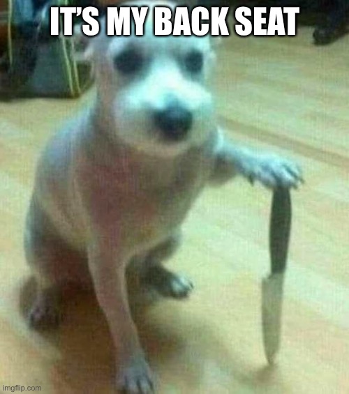 dog with knife Imgflip
