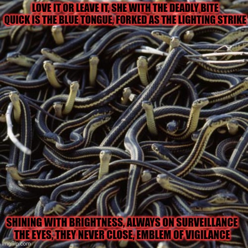 Don't tread on me Imgflip