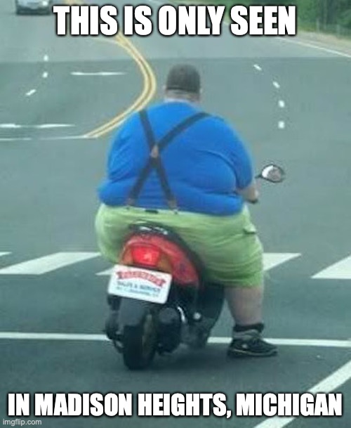 Fat Man on Scooter Imgflip