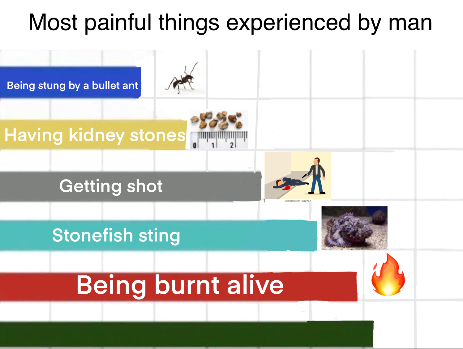 Worst types of pains known to man Blank Template Imgflip