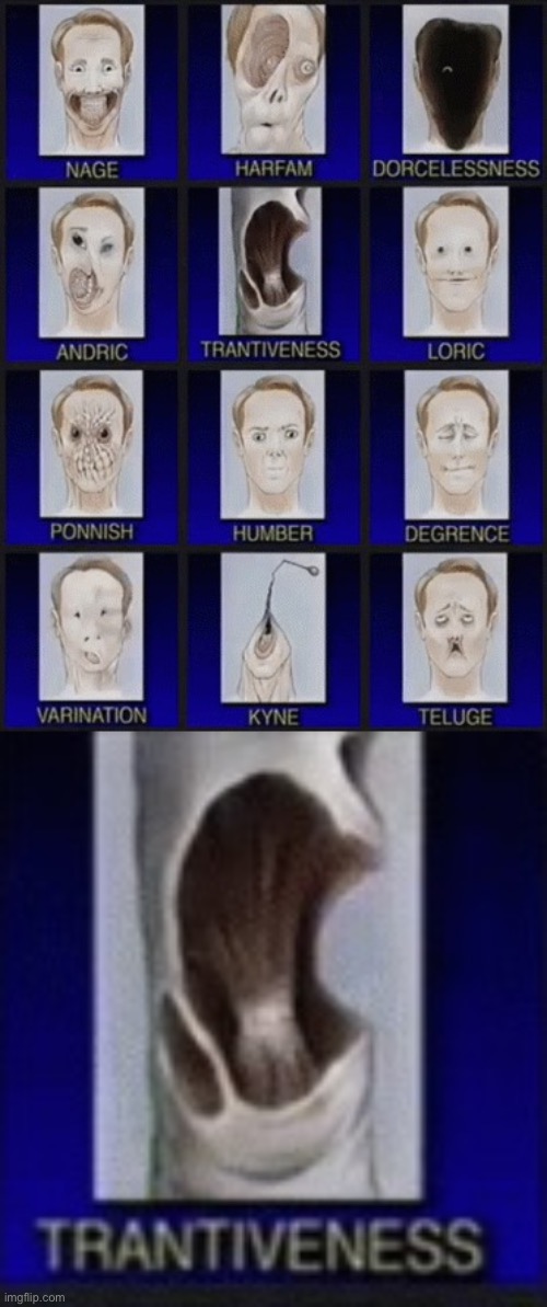 wot Imgflip