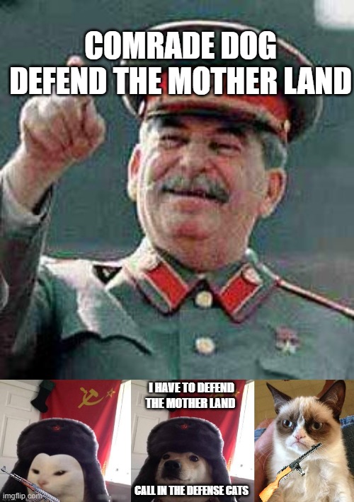 When The Soviets Rely On Animals Imgflip