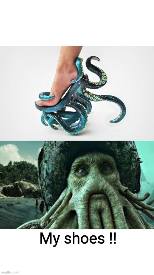 Image tagged in funny,shoes Imgflip