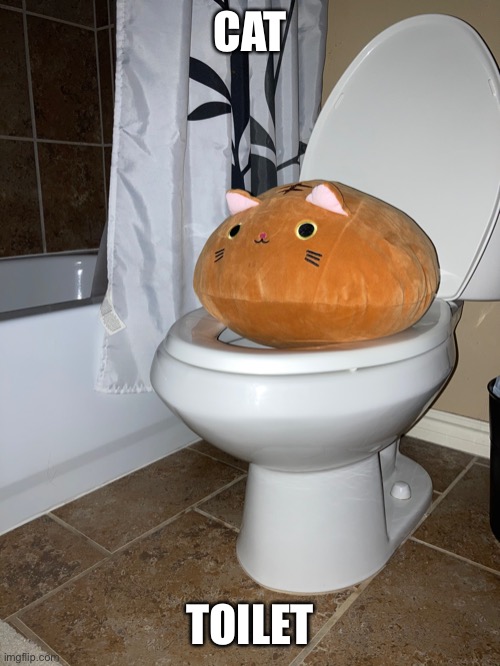 Cat toilet Imgflip