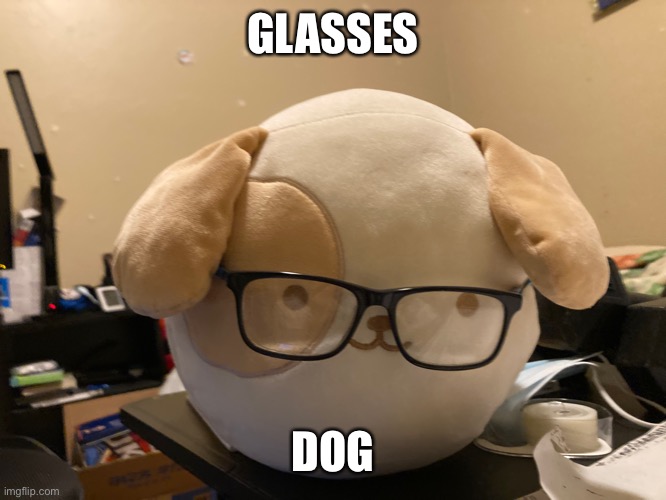 glasses dog Imgflip