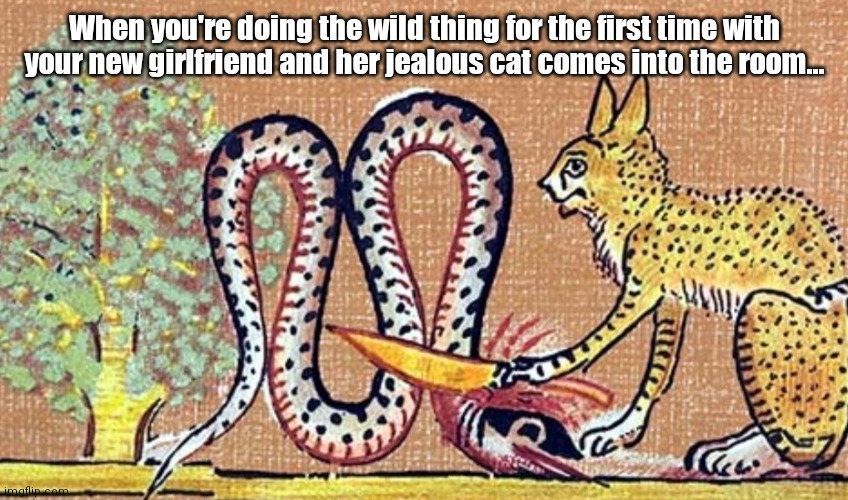 Cut like an Egyptian kitty Imgflip