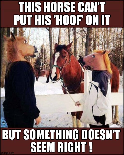 horse Memes & GIFs Imgflip