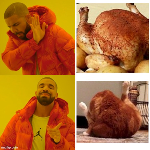 turkey vs. cat Imgflip