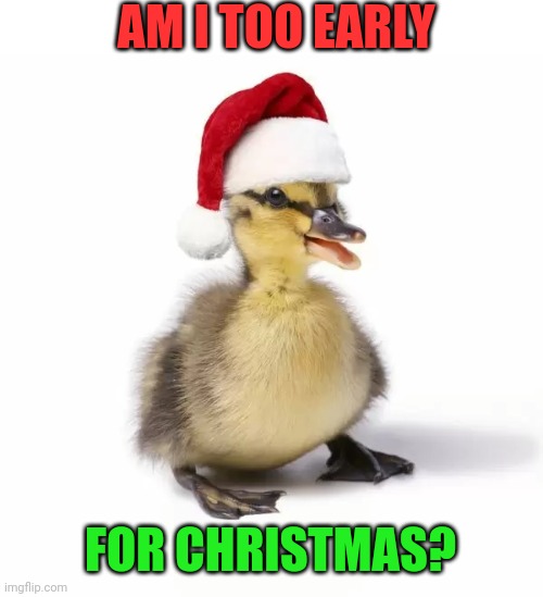 SANTA DUCKLING Imgflip