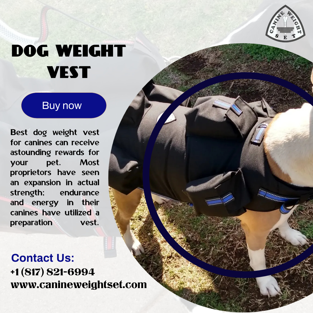 Dog Weight Vest Blank Template Imgflip