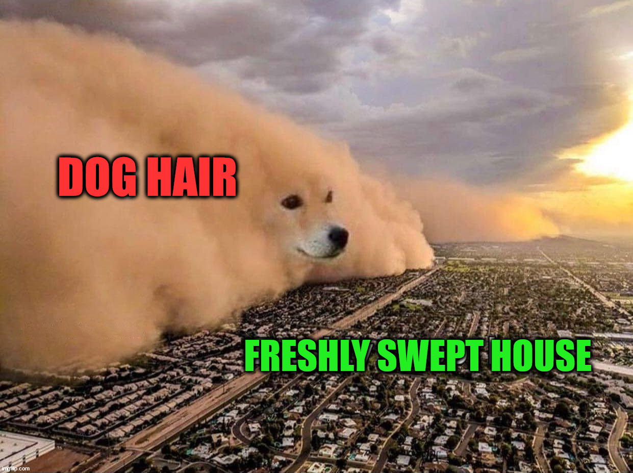 Hair everywhere Imgflip