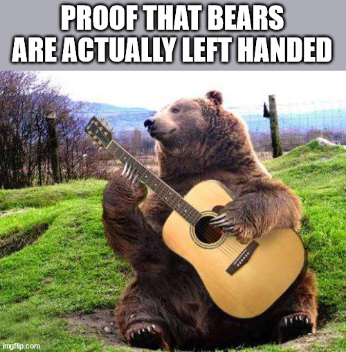 Left handed bear Imgflip
