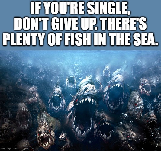 There's Plenty Of Fish In The Sea Imgflip