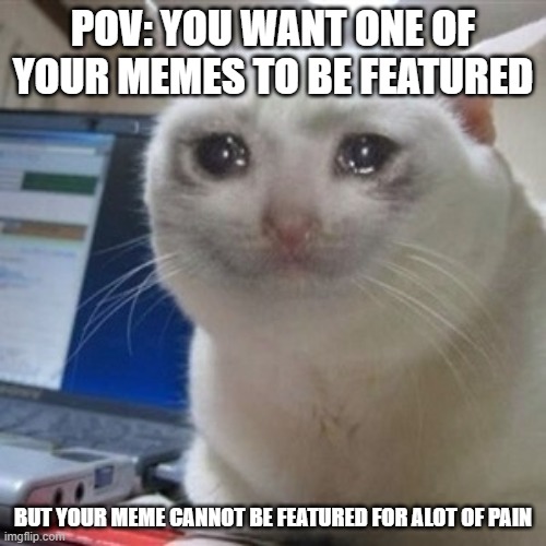 Crying cat Imgflip