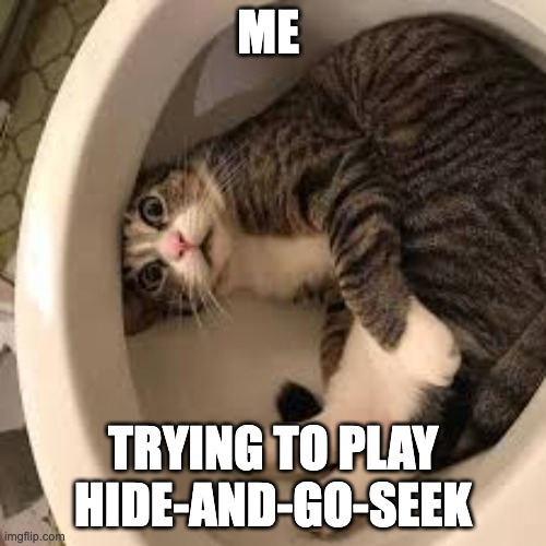 Image tagged in funny cat in toilet Imgflip