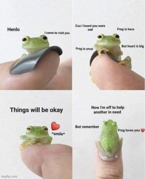 froggo Imgflip
