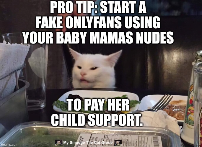 Image tagged in smudge the cat - Imgflip