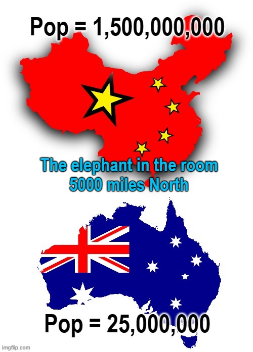 The elephant in the room Imgflip